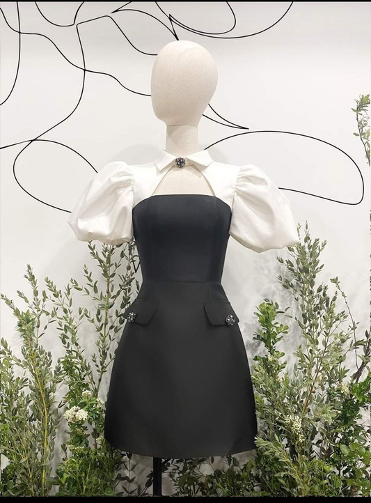 New Arrival A-line Homecoming Dress,Puffy Sleeves Graduation Dress Y2551