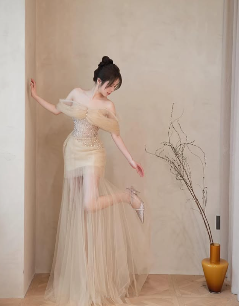 Champagne Tulle Off The Shoulder Beaded Prom Dress,A Line Long Evening Dress Y8544