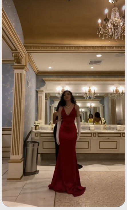 Elegant Mermaid V Neck Long Prom Dress,Classic Burgundy Evening Dress Y1648