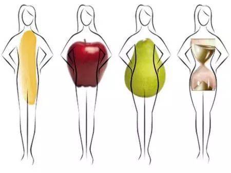 Different Body Selection Guide