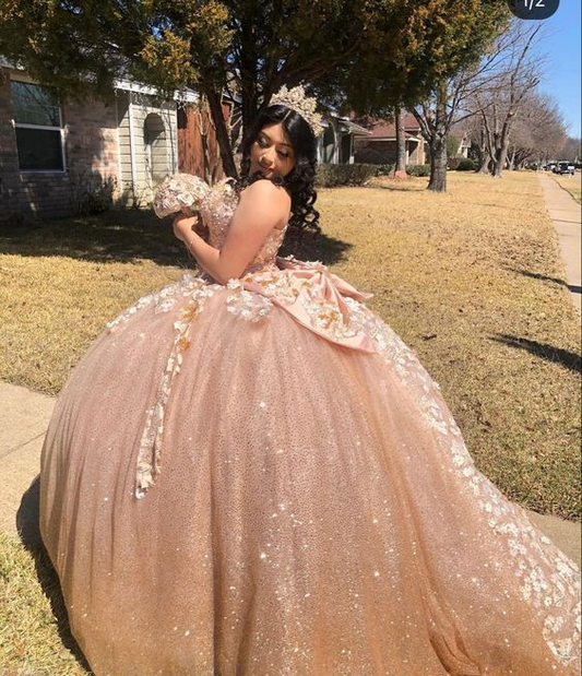 Sparkly Quinceanera Dress Ball Gown Sweet 16 Dress Y6519