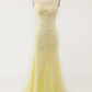 Pink Mermaid Long Prom Dress with Appliques  Y7435