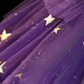 Elegant Purple Stars A-Line Prom Dress Y2738