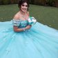 Off The Shoulder Lace Tulle Ball Gown Princess Dress Y3087