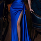 Royal Blue Long Simple Slit Mermaid Prom Dresses Y4151