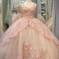 Quinceanera Sweet Tulle Ball Gown 16 Lace Pink Party Flower Sparkly Prom Dress Y3027