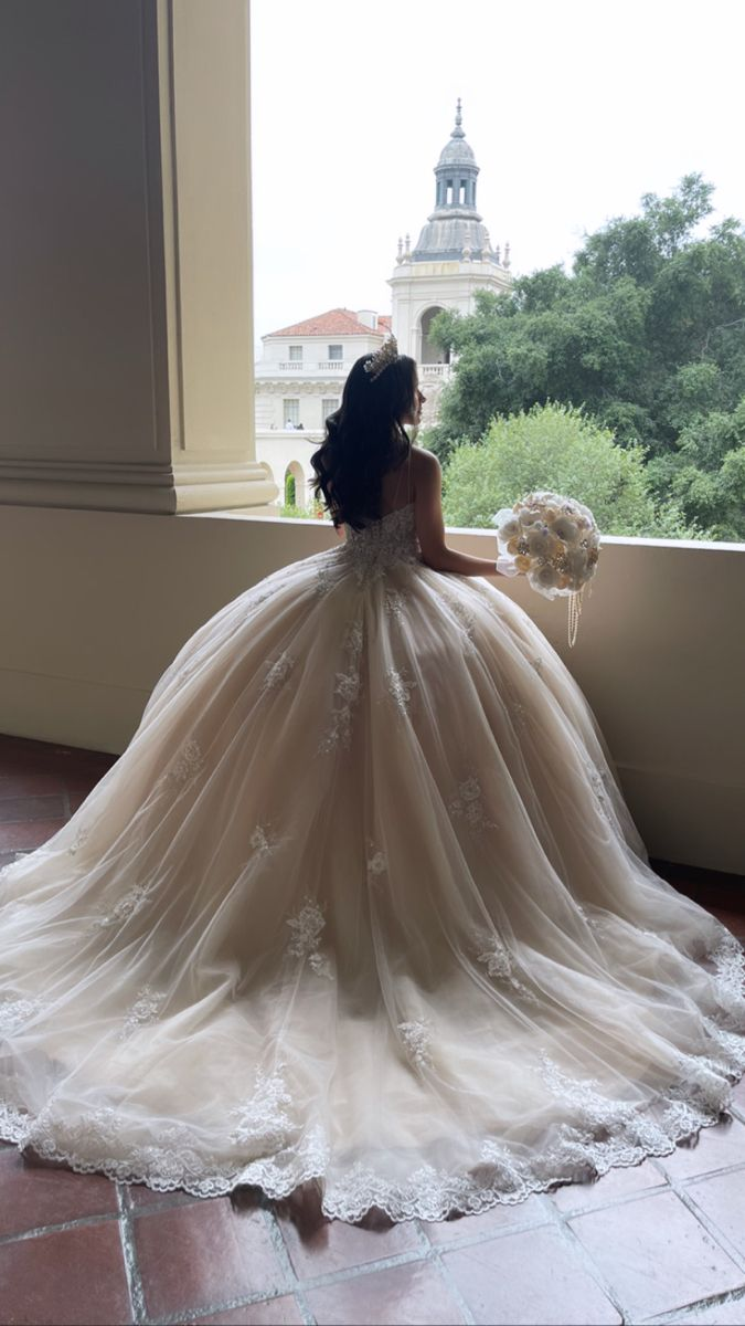 Stunning Lace Appliques Ball Gown Wedding Dresses Princess Dress Y4593