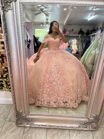 Pink Off The Shoulder Tulle Appliques Ball Gown,Pink Sweet 16 Dress Y6091