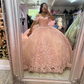 Pink Off The Shoulder Tulle Appliques Ball Gown,Pink Sweet 16 Dress Y6091