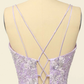 Lilac A-line V Neck Tulle Applique Lace-Up Back Long Prom Dress,Y2464