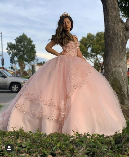 Pink Princess Ball Gown Quinceańera Dress Sweet 16 Dress Y1095