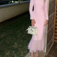 Pink Fashion Party Prom Dress Evening Gown Y4520