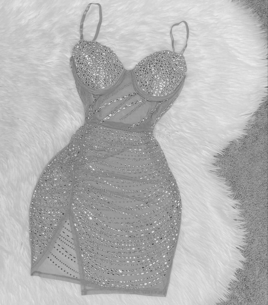 Sexy See-through Silver Homecoming Dress,Short Homecoming Dress,Silver Club Dress  Y2087