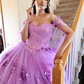 Stunning Tulle Quinceanera Dresses Ball Gown Sweet 15 Dress Y6032