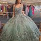 Glamorous Butterflies Appliques Ball Gown,Sweet 16 Dress,Princess Dress Y2361