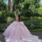 Glamorous Pink Sweet 16 Dress,Pink Ball Gown With Butterflies,Pink Tulle Princess Dress  Y2336