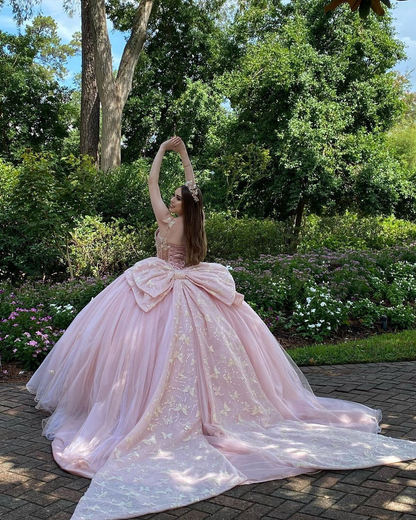Glamorous Pink Sweet 16 Dress,Pink Ball Gown With Butterflies,Pink Tul – Simplepromdress
