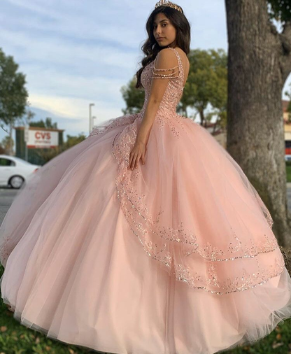 Pink Princess Ball Gown Quinceańera Dress Sweet 16 Dress Y1095