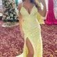 Long Yellow Lace Prom Dresses Formal Evening Gowns Y345