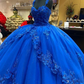 Amazing Royal Blue Princess Dress,Royal Blue Ball Gown Sweet 16 Dress Y825