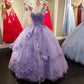 Elegant Tulle Appliques Ball Gown Sweet 16 Dress Y397