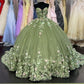Green Quinceanera Dresses Princess Ball Gown Appliques 3D Flowers Party Sweet 15 Y121