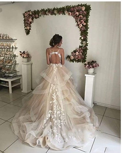 Champagne Tulle Spaghetti Straps Backless Appliques Prom Dress S20562