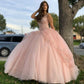 Pink Princess Ball Gown Quinceańera Dress Sweet 16 Dress Y1095