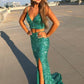 Glitter Green Two Piece Sequins Mermaid Long Prom Dress Y993